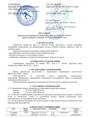 Лыжные гонки
