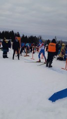 Лыжные гонки