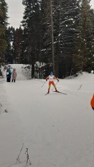 Лыжные гонки