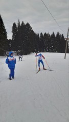 Лыжные гонки