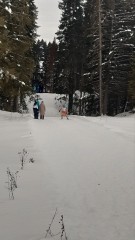 Лыжные гонки