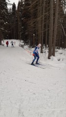 Лыжные гонки