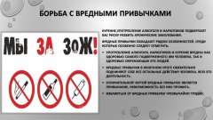 Интернет-акция #ТвойВыбор Интернет-акция #ТвойВыбор